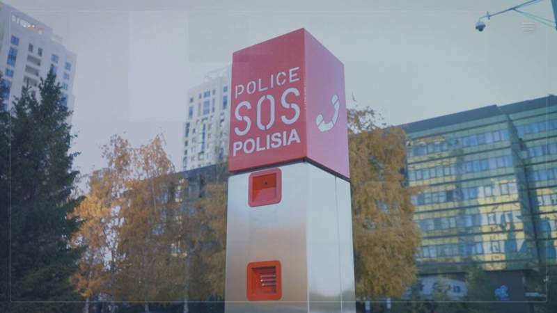 Полиция