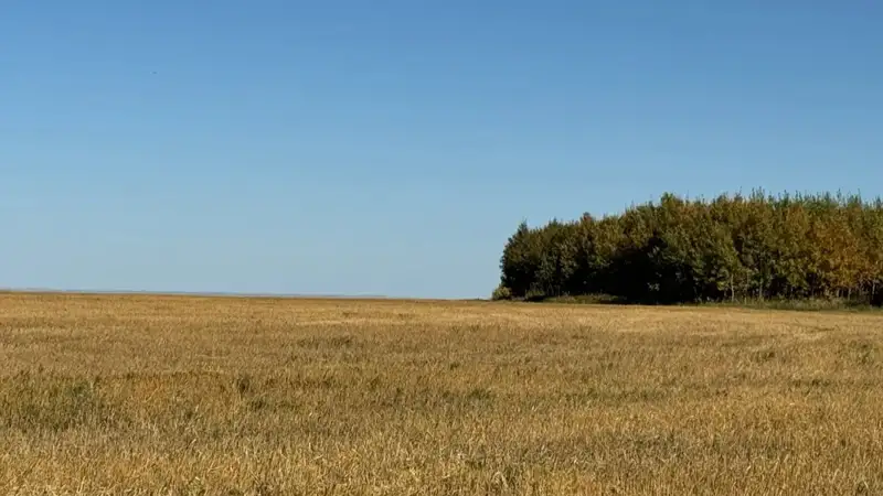 Жетісу облысы