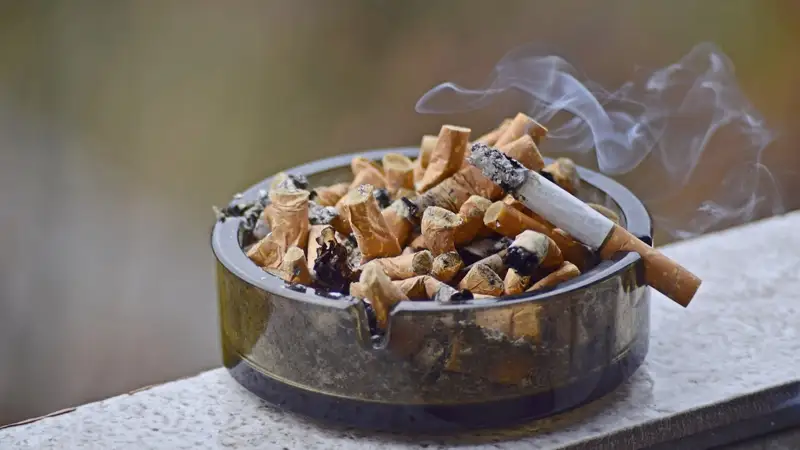 Темекі тұқылы