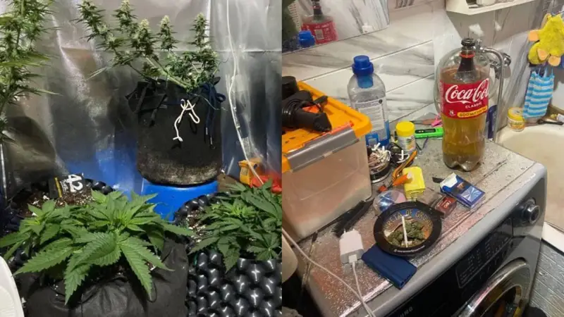 Фитозертхана