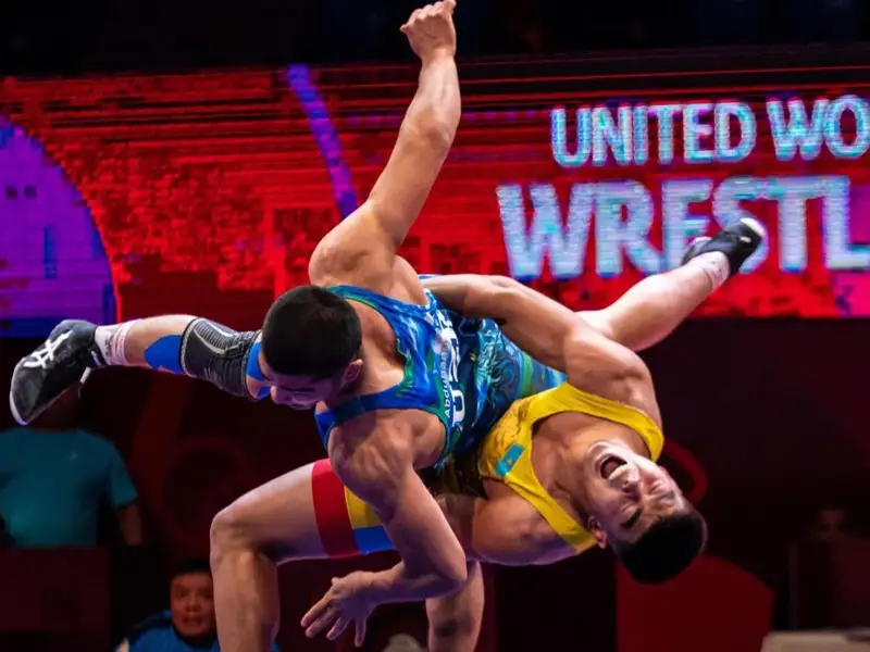 Күрес түрлері