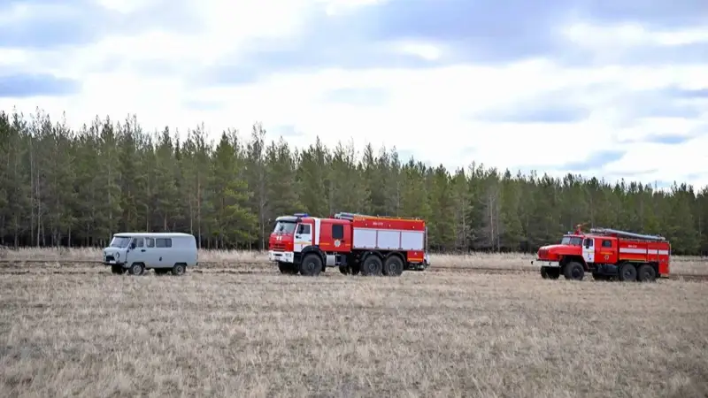 Абай облысы