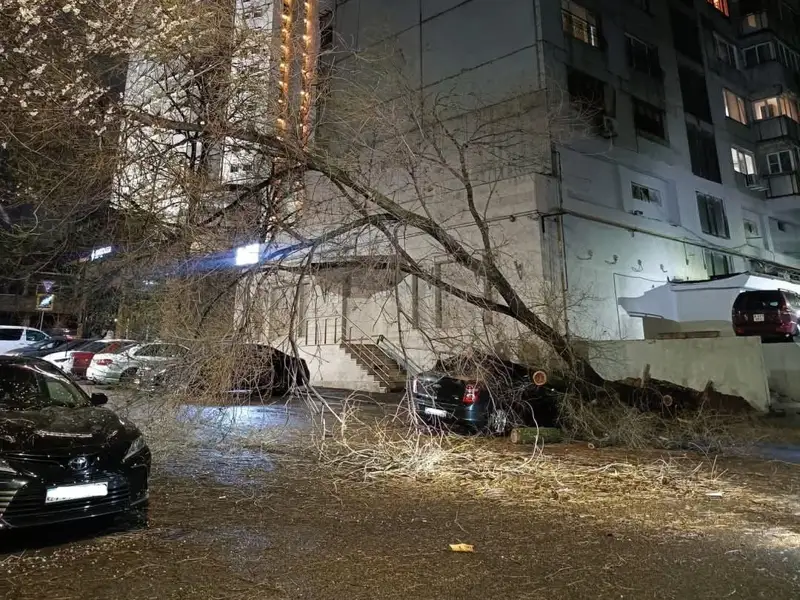 Орыс порно онлайн