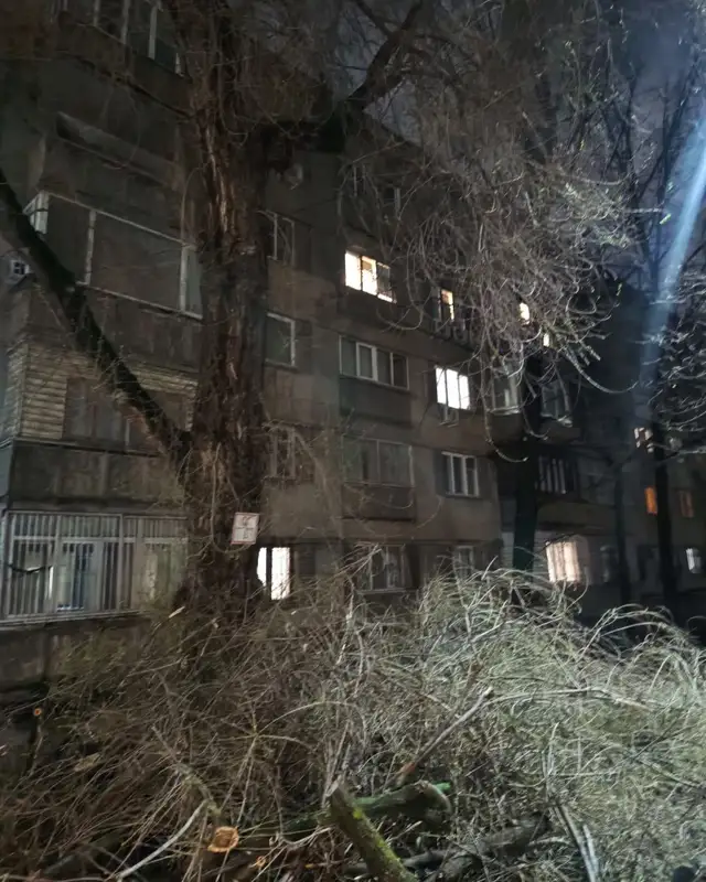 Ресейдің жалаңаш спортшылары