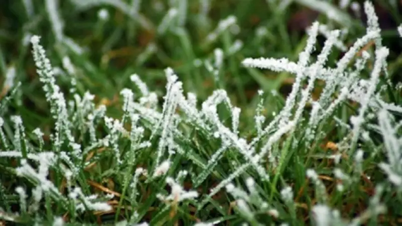 Қазгидромет 