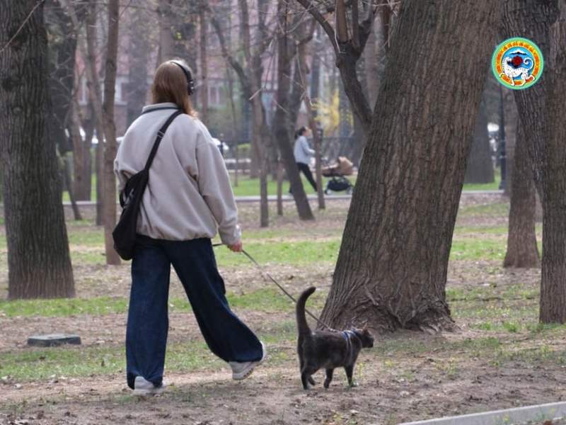 Алматы