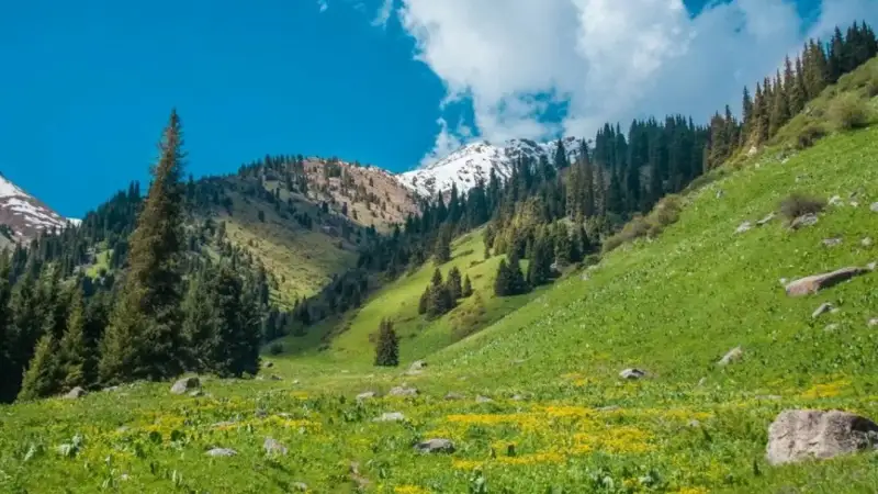 Алматы облысы 