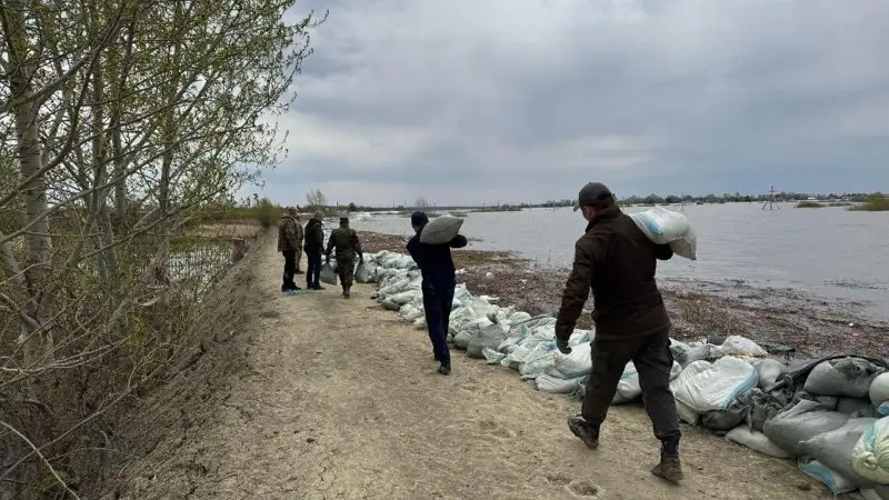 Су басу қаупі 