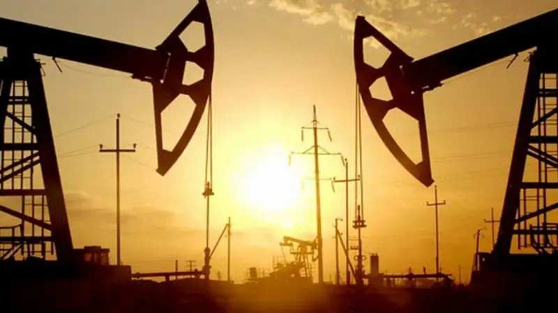 Мұнай химия