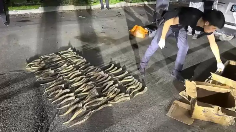 Киік мүйізі