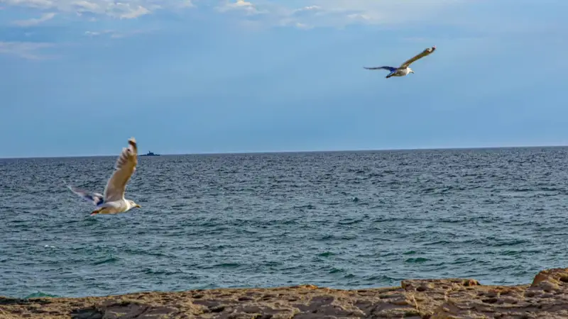 Каспий теңізі 