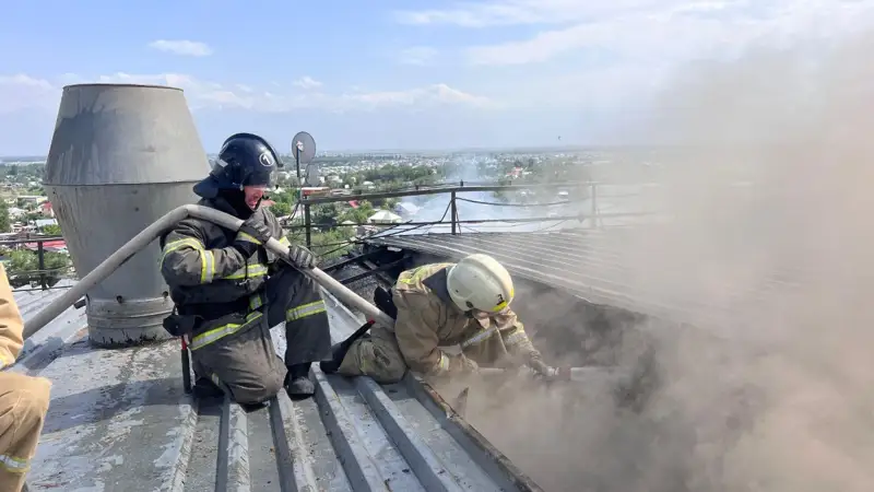 Алматы облысы, ұн зауыты