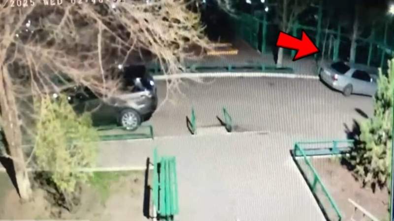 Полиция