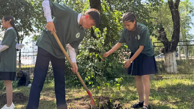 Ағаш отырғызу