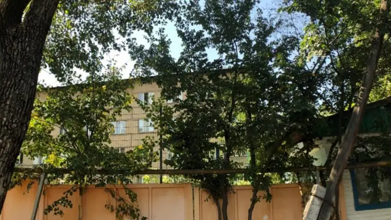 бағаанашыл