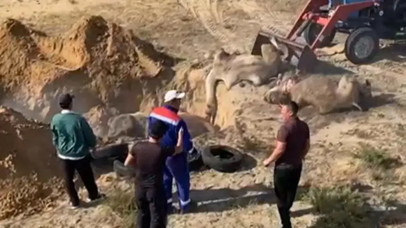 Атырау облысы