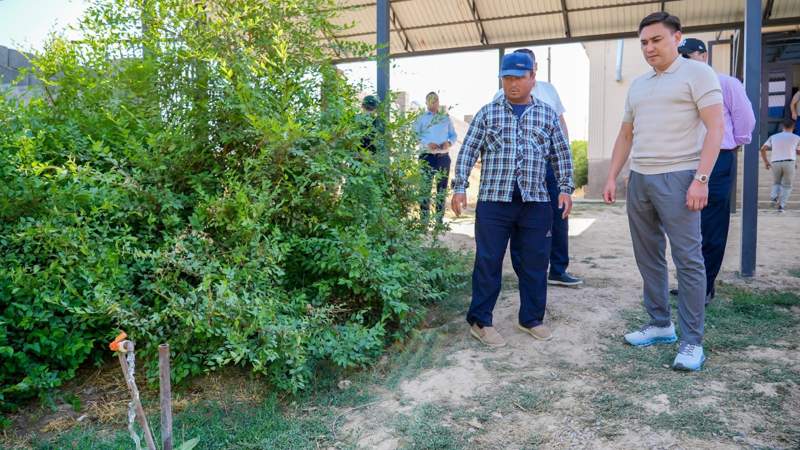 Шымкент қаласы әкімінің баспасөз қызметі Шымкент қаласы әкімінің баспасөз қызметі