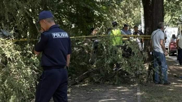 Полиция