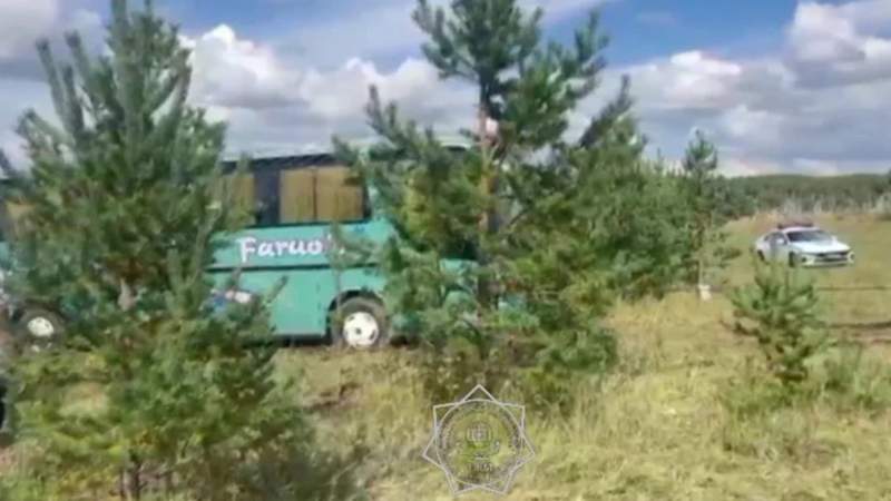 Туристер