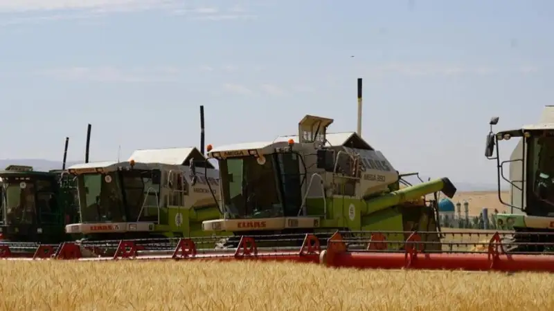 астық бастыру