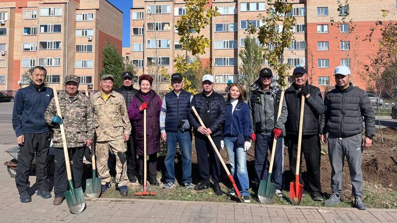 жалпықалалық сенбілік Есіл ауданы