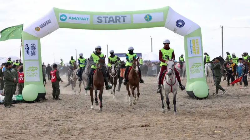 Орманда серуендеу бейне