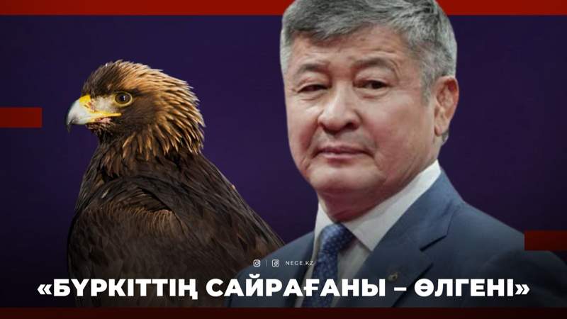Депутат
