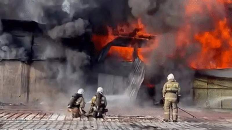Баспанасыз қалу