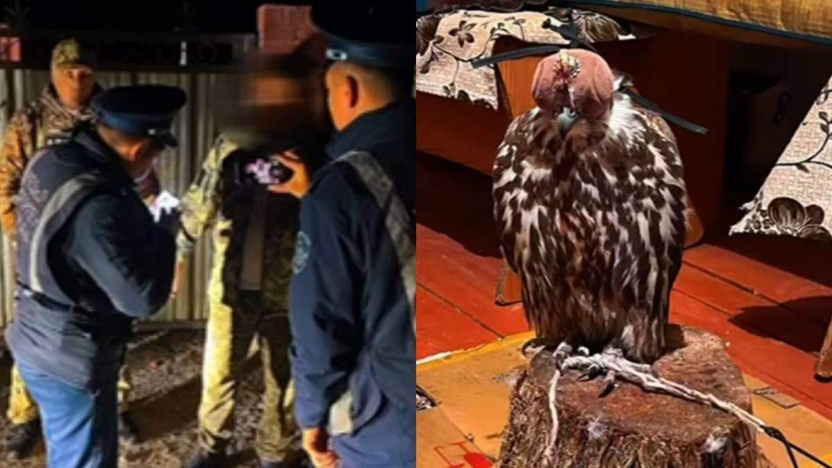 Юбкасының астында трусики жоқ сұлу қыздардың ыстық фотолары Юбкасының астында трусики жоқ сұлу қыздардың ыстық фотолары