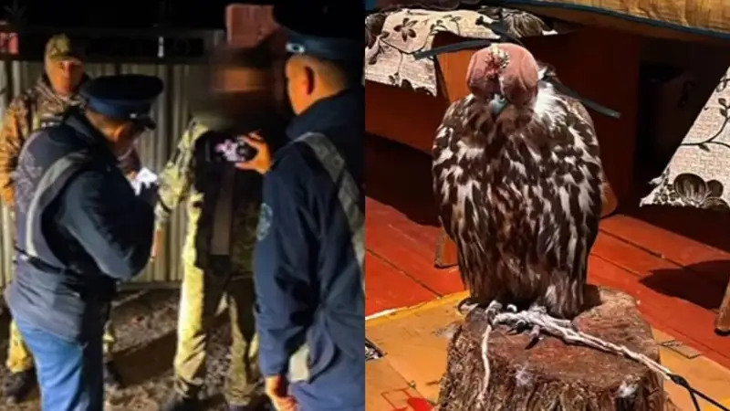 «Тақтар ойыны» фильміндегі секс-сахна