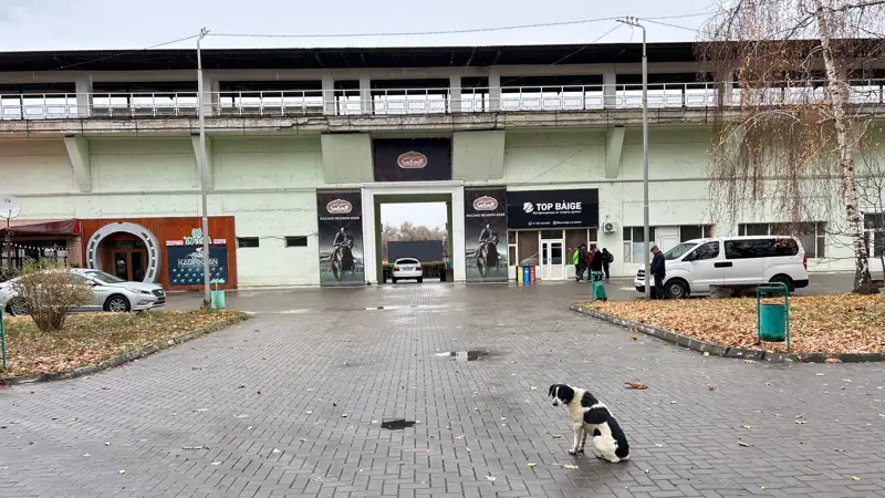 Алматы ипподромы