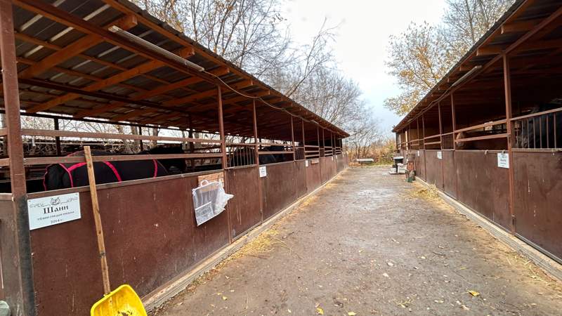 Алматы ипподромы Алматы