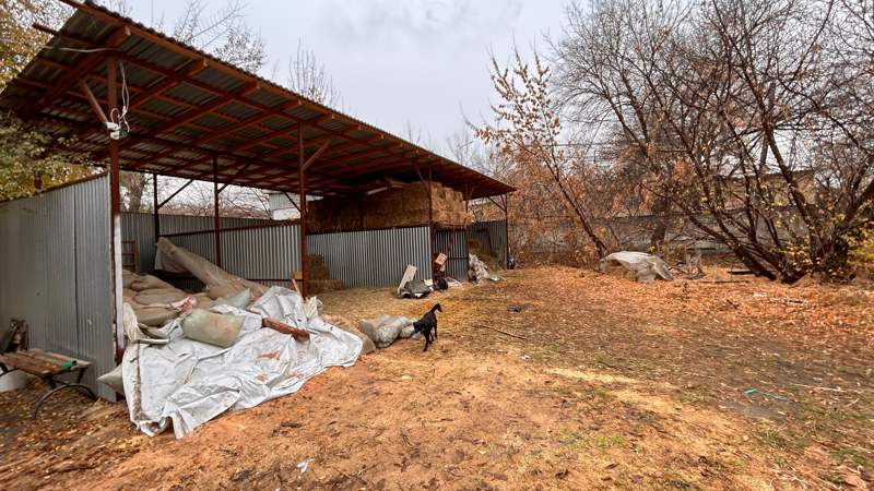 Алматы ипподромы Алматы