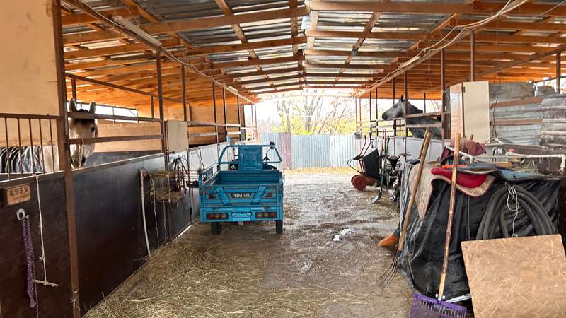 Алматы ипподромы Алматы ипподромы