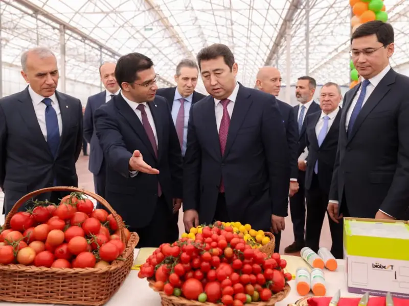 Шымкент қаласы әкімінің баспасөз қызметі