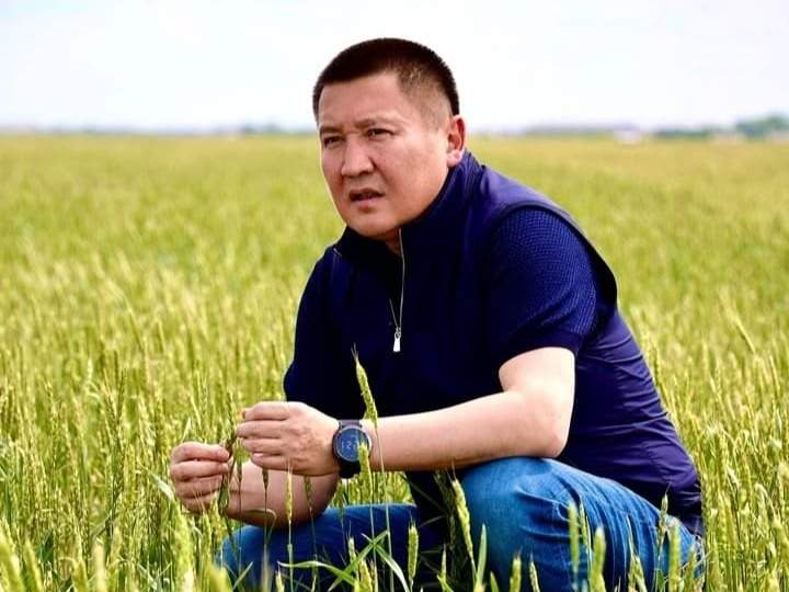 Павлодар облысының әкімі