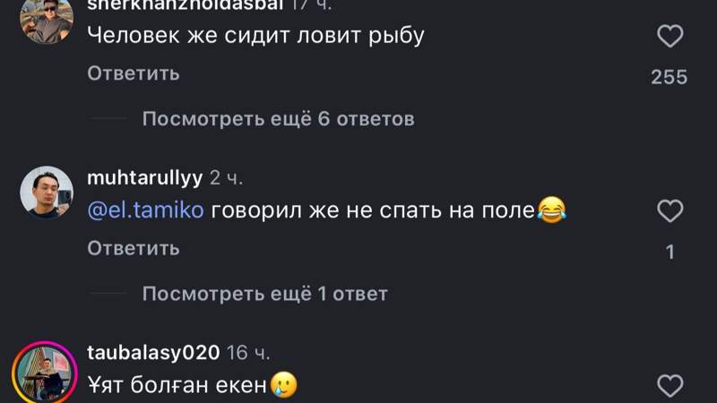 пікір пікір