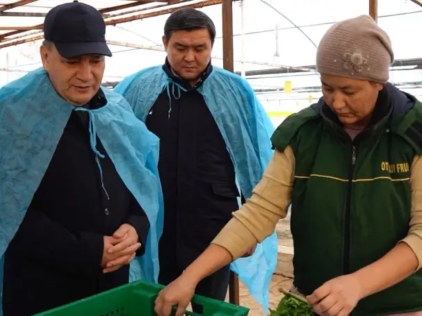 Өңірлік коммуникация қызметі