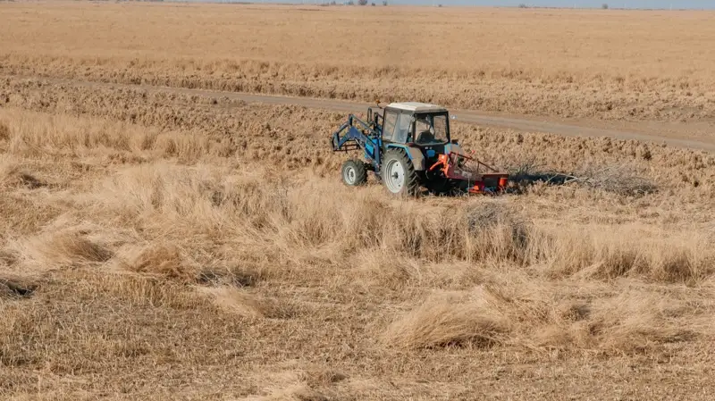 Өңірлік коммуникациялар қызметі