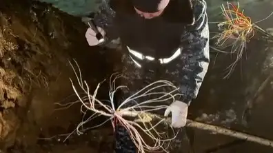 Видеодан скриншот