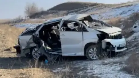 Видеодан скриншот