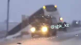 Видеодан скриншот/instagram.com/shk_kz