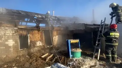 Видеодан скриншот/Павлодар облыстық ТЖД