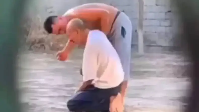 Видеодан скриншот