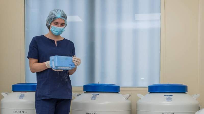 криоконсерваци, Ұрық сақтау криоконсервация