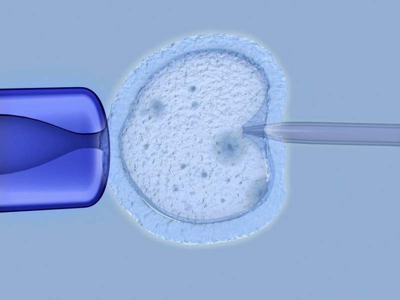 криоконсерваци, Ұрық сақтау криоконсервация