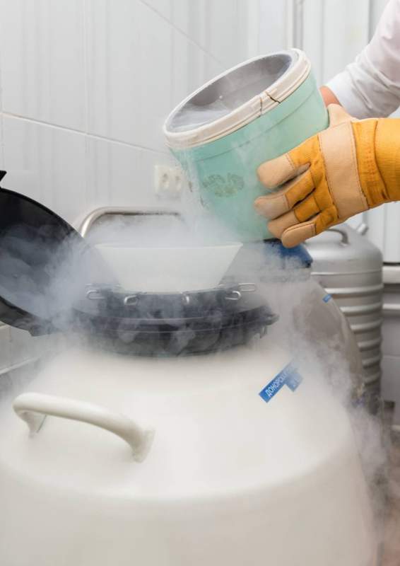 криоконсерваци, Ұрық сақтау криоконсервация