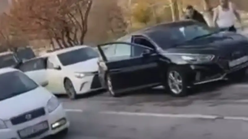 Видеодан скриншот