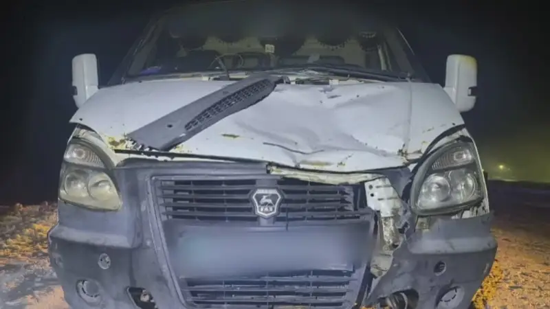 instagram/dp_pavlodar