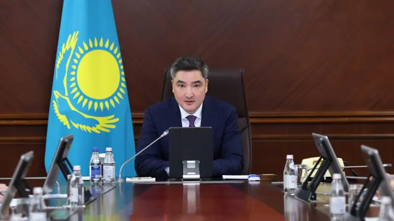 Конституция жобасы